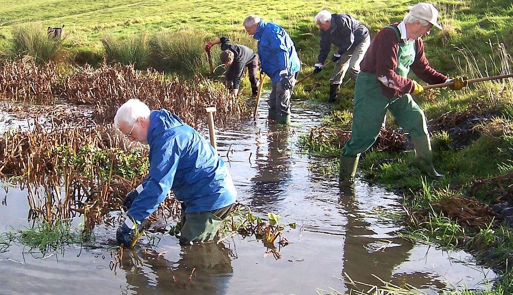 Cotswold Voluntary Wardens clearing a pond at Hawling, near Bourton-on-the-Water. Picture © Cotswolds Conservation Board